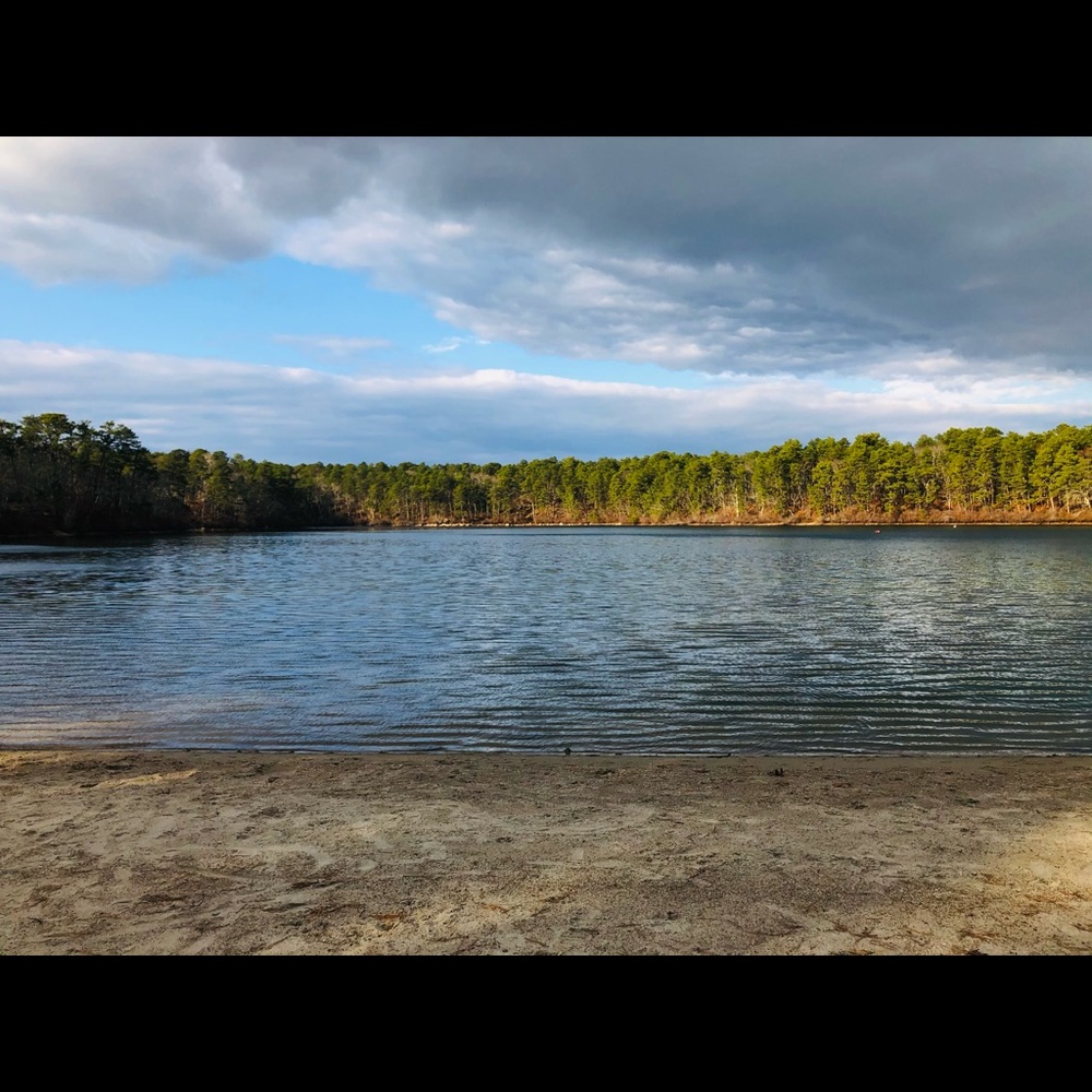 Meet your Posher, Cambria